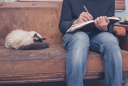 个轻人只猫坐沙发上,笔记本上写字图片