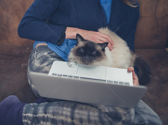 个轻的女人家里用她的笔记本电脑,只猫坐她的腿上图片