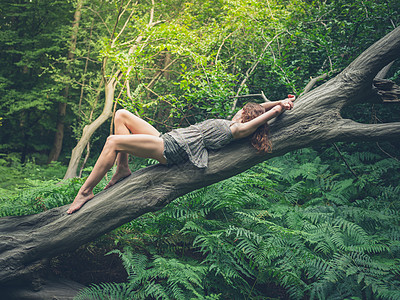 个感的轻女人光着脚躺森林里棵倒下的树上,周围绿色的蕨类植物图片