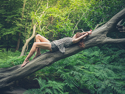 个感的轻女人光着脚躺森林里棵倒下的树上,周围绿色的蕨类植物背景图片
