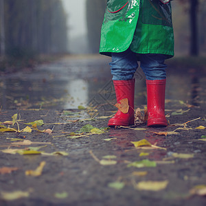 婴儿秋天的雨公园散步图片