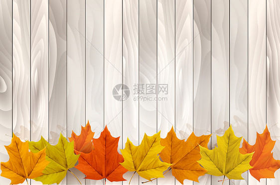 感恩节的背景五颜六色的叶子木制的背景矢量图片