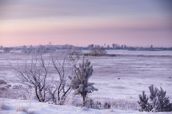 白俄罗斯的冬天早晨月明斯克附近寒冷的冬天早晨图片