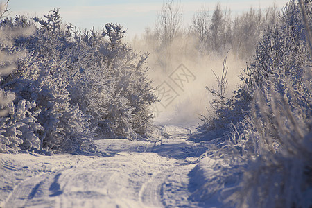 白俄罗斯的冬天早晨月明斯克附近白俄罗斯的冬天早晨图片