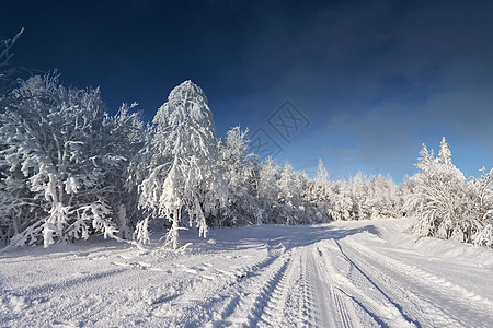 白俄罗斯晴朗寒冷的冬天晴朗寒冷的冬天图片