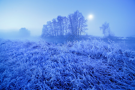 月光冬天朦胧的夜晚草地上的雪霜白俄罗斯图片