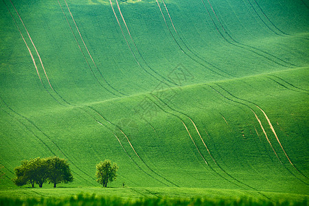 绿色的春山莫拉维亚的耕地背景图片