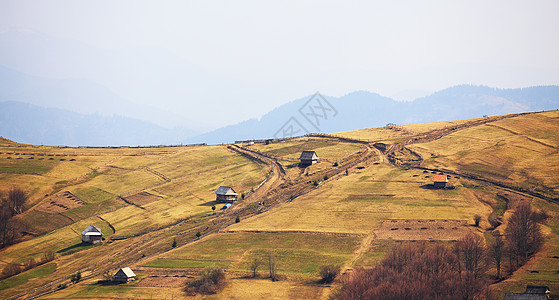 山村里阳光明媚的春天喀尔巴阡山脉的田野山丘图片