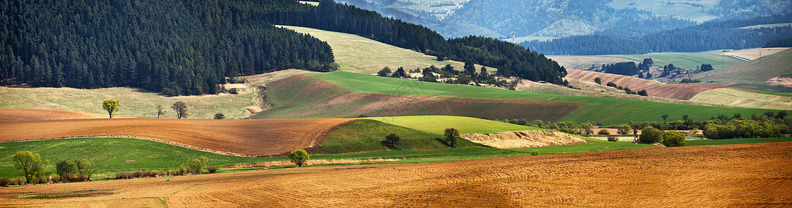 斯洛伐克的绿春山四月阳光明媚的乡村全景图片