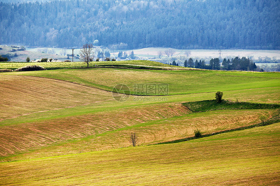 斯洛伐克的绿春山四月阳光明媚的乡村图片