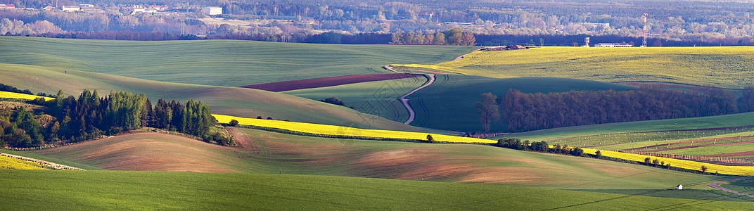 绿色的春山捷克莫拉维亚的耕地四月图片