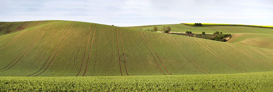 绿色的春山捷克莫拉维亚的耕地四月图片
