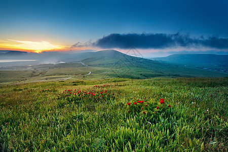 春天的夕阳山上盛开着红花图片