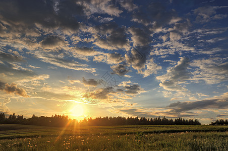 白俄罗斯田野里的春天日落图片