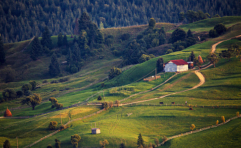 九月喀尔巴阡山的乡村景象真正的村庄栅栏图片