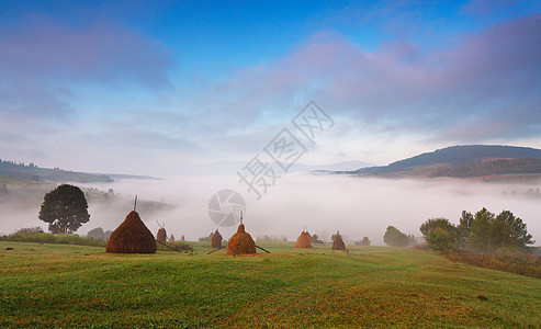 九月的秋天,喀尔巴阡山上雾蒙蒙的早晨图片