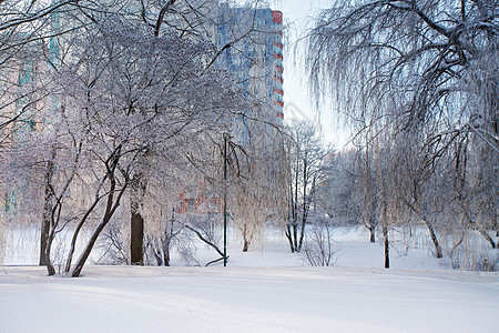 阳光明媚的冬季城市白俄罗斯白雪覆盖的城市场景图片
