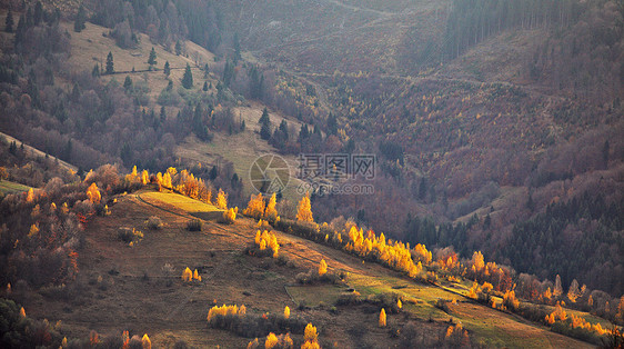 秋山全景十月喀尔巴阡山秋天图片