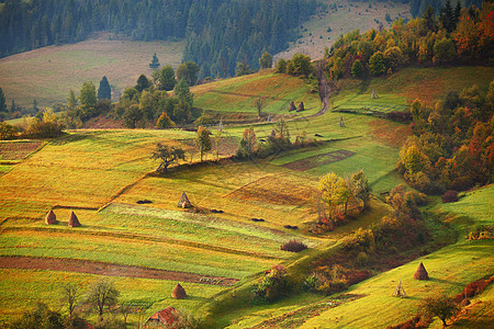 喀尔巴阡山的秋天花园秋天山上的果园图片