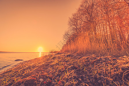 早晨日出秋天的个大湖旁边图片