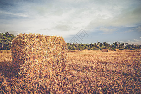 乡村风景与稻草捆乡村田野上图片