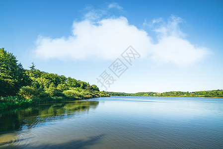 湖景绿树蓝天背景图片