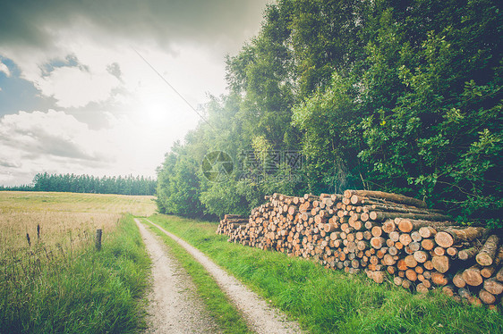 路边木制原木的乡村风景图片