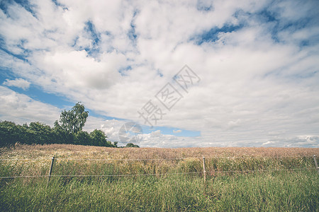 乡村风景中的草地上篱笆图片