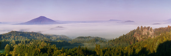 雾蒙蒙的黎明鲁佐VRCH公园最高峰瑞士波西米亚,捷克共国图片