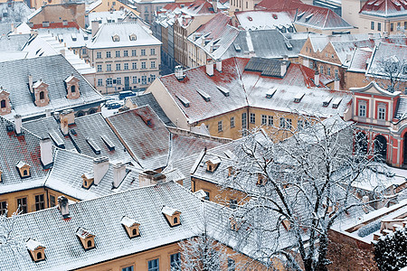 捷克共国布拉格ledebursky宫的冬季花园屋顶景观图片