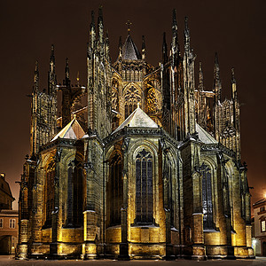 布拉格,冬夜维图斯大教堂后景图片
