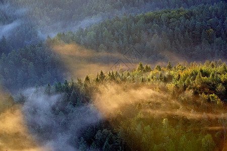 日出光超过雾公园波西米亚瑞士,捷克共国图片