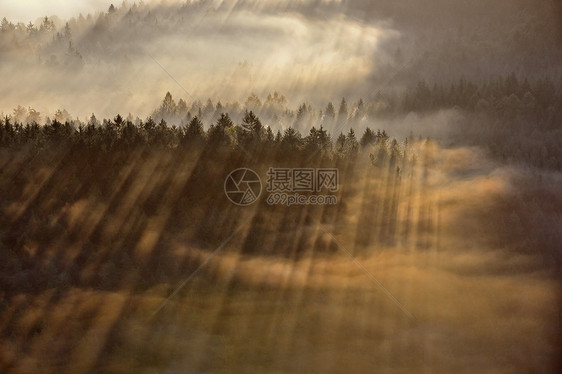 日出光超过雾公园波西米亚瑞士,捷克共国图片
