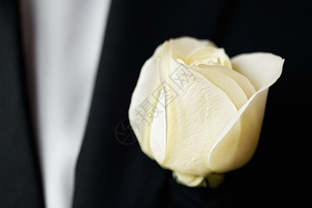 新郎西装上的白色玫瑰图片