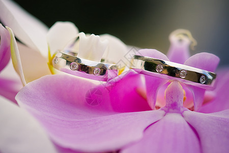 带粉红色兰花的结婚戒指背景