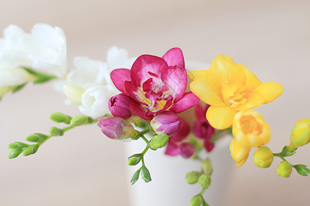 家居装饰花瓶里的花图片