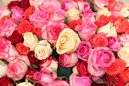 五颜六色的玫瑰背景美丽,高品质,适合度假,情人节礼物图片
