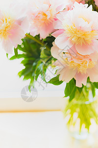 可爱的粉红色牡丹璃花瓶的轻背景,特写图片