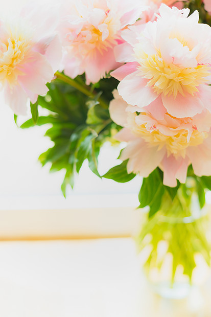 可爱的粉红色牡丹璃花瓶的轻背景,特写图片