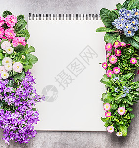 笔记本与花园花花盆石头背景,顶部视图园艺框架图片