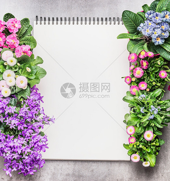 笔记本与花园花花盆石头背景,顶部视图园艺框架图片