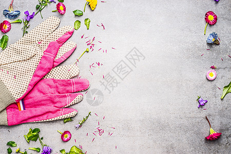 粉红色花园手套与花,树叶植物混凝土背景,顶部视图,框架园艺种植图片