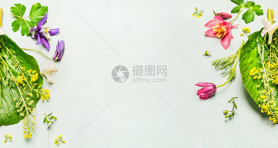 草本背景与夏季春季花园花卉植物,框架顶部视图,文本的位置,横幅图片