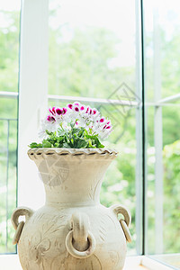 兵马俑花瓶花盆与可爱的天竺葵花窗户背景,家居装饰内部图片