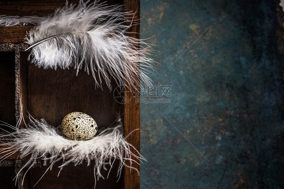 羽毛上的鹌鹑蛋木箱里筑巢文本的复古背景复活节卡片图片