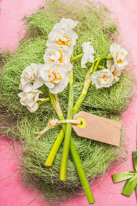 节日水仙花与空白标签,顶部视图图片