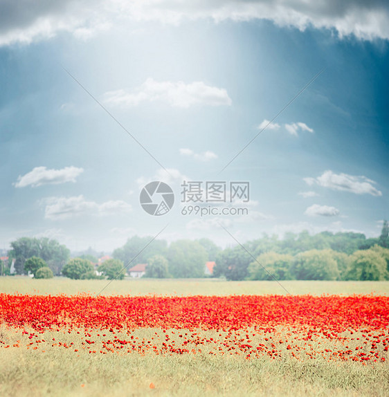 风景与田野花盛开,乡村背景美丽的天空户外自然背景图片