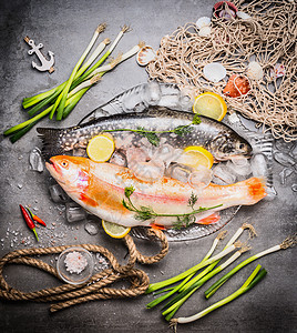 各种伟大的生鳟鱼璃盘与冰块混凝土背景与渔网调味品,顶部视图海鲜烹饪图片