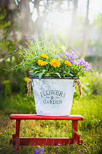 白色的水桶,花园的花红色的小凳子上,夏天的自然背景下图片