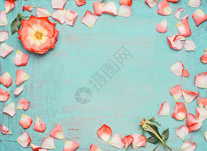 框架制作蓝色绿松石背景上的粉红色浅玫瑰花瓣,顶部的景色节日贺卡图片